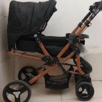 کالسکه دلیجان مدل بنیتا