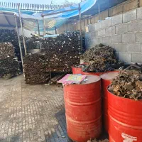 داربست فروشی