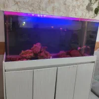 اکواریوم
