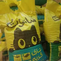 خاک گربه شاتوت