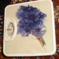 وزنه|تجهیزات ورزشی|شیراز, شیخ علی چوپان|دیوار