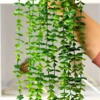 شمشاد آمیز ۱۶ شاخه