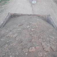 فقط کود سالنی خالص