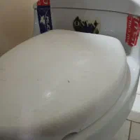 توالت فرنگی
