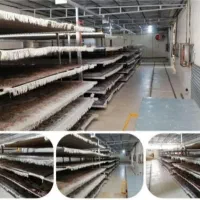 قالیشویی و مبل شویی نمونه مجهز به گرمخانه و آب گرم