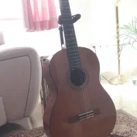 گیتار c40