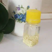 نگه داری و پرورش حلزون