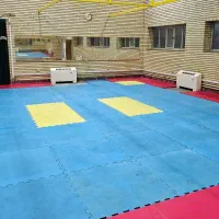 استخدام خانم برای آموزش