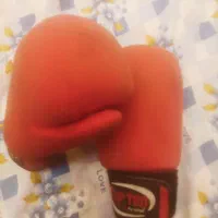 دستکش بوکس