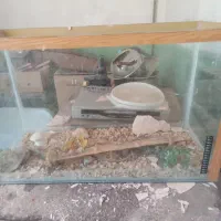 آکواریوم