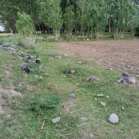 زمین مسکونی