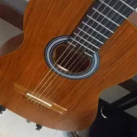 گیتار در حد نو