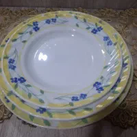 ارکوپال مدل پنسی پلو خورش و پیش دستی