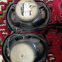 باند طرح پایونر