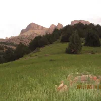گردشگری اقتصادی مشهد و حومه  پراید ۱۱۱  پایه