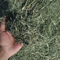 یونجه کوبیده شده