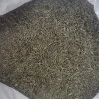 آویشن برگ سوزنی