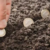 هیچی بلد نیستی پول میخوایی زنگ بزن