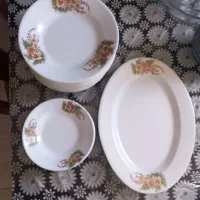 ظروف ملامین