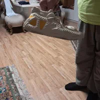 کفش مردانه bolf