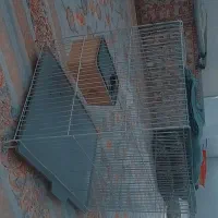 قفس پرنده خیلی خیلی زیبا قشنگ فوری فوری