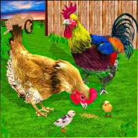 مرغ وخروس لاری