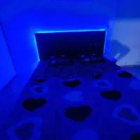 اجاره سوئیت شبانه روزی