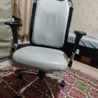 صندلی|صندلی و نیمکت|گرگان, |دیوار