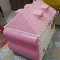 لانه برای طوطی