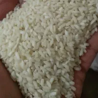 برنج چمپای باغملک
