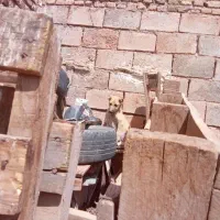 به عنوان جابه جایی