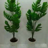 ‌....|لباس|رشت, چله خانه|دیوار