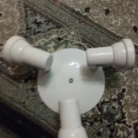 لوسترسه‌شاخه