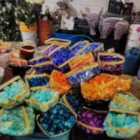 گل رز|گل و گیاه طبیعی|زرقان, |دیوار