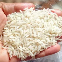 برنج هاشمی درجه یک