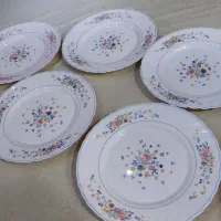 بشقاب ارکوپال