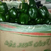 پخش و توزیع انواع میوه و تره بار در میدان مرکزی
