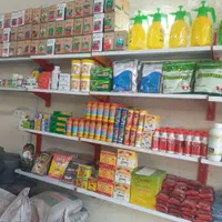 سمپاشی سوسک ساس سم پاشی موش کنه کک گال  تضمینی