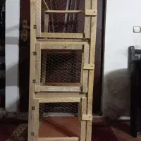 دوتا قفس سه طبقه نو هست