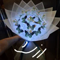 بوکت پروانه ای