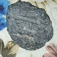 شهاب سنگ|کلکسیون و سرگرمی|بندرعباس, |دیوار