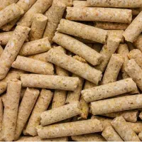 پایان دان مرغ گوشتی