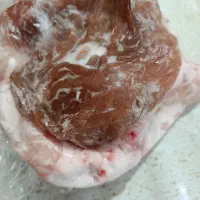 روده باریک و چرب
