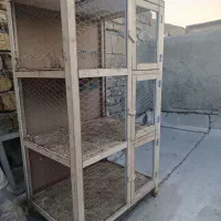 جفت کن کبوتر
