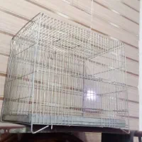 قفس‌پرنده