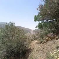 ملک فروشی دهبکری