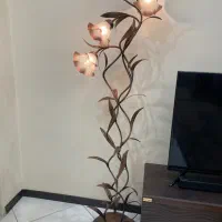 آباژور کنار سالنی مسی