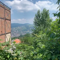 زمین مسکونی ۲۳۶ متر ، روستا کنیج کلا