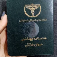 واگذاری رایگان سگ