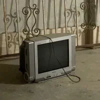تلوزیون